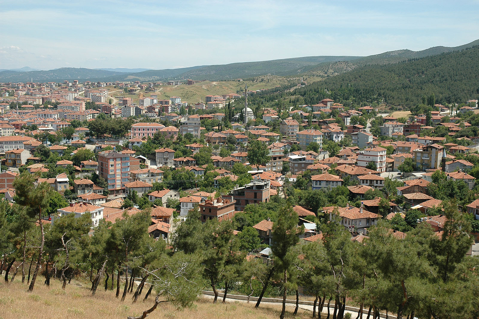 Sinop Boyabat RS Servis ProSer Otomobil Hasar Yönetimi